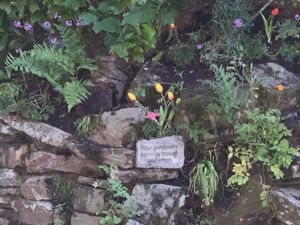 Garden- click for photo gallery